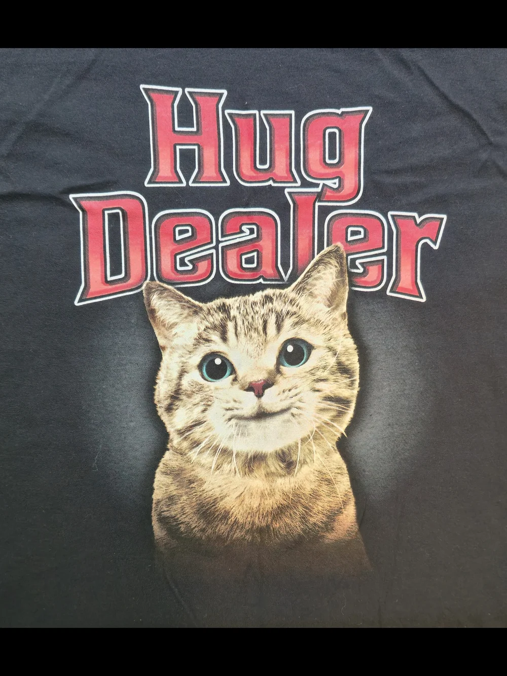 Cute Cat 
